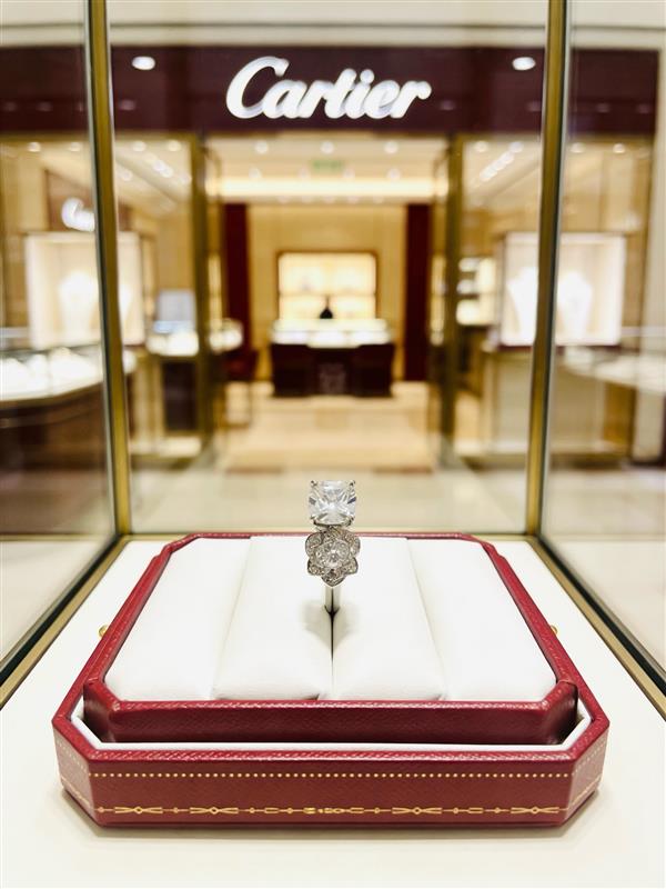 20266422339674 